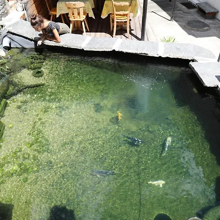 Pensjonat Garni Morettina Brissago