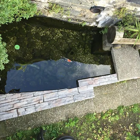 Garni Morettina Pensjonat Brissago